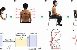 Image result for Spine with Bad Posture
