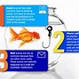 Image result for Phishing Attack Types
