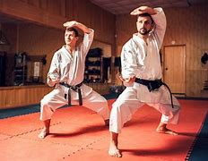 Image result for Martial Arts Master