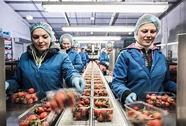 Image result for Food Processing