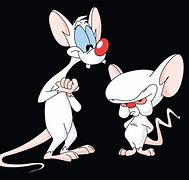 Image result for Funny Pinky and the Brain