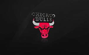 Image result for NBA Basketball Chicago Bulls