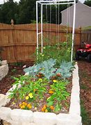 Image result for Square Foot Gardening