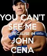 Image result for John Cena Twin Sister