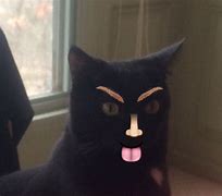 Image result for Eyebrow Cartoon Cat