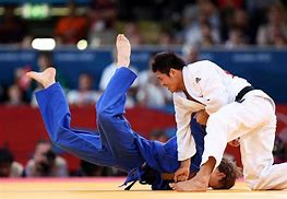 Image result for Judo Martial Arts