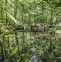 Image result for Solid Nature Netherlands