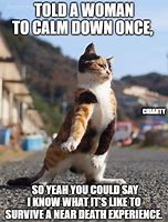 Image result for Stay Calm Funny Meme