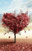 Image result for Cute Fall Backgrounds