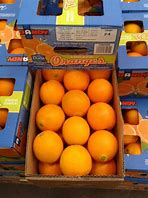 Image result for Costco in USA