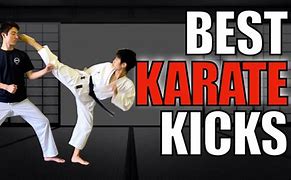 Image result for Types of Karate Kicks