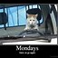 Image result for Good Morning Work Funny