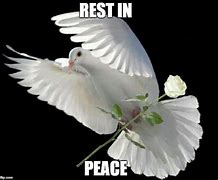 Image result for Rip in Peace Meme