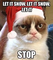 Image result for Grumpy Cat Snow Meme