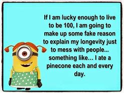 Image result for Minion Humor