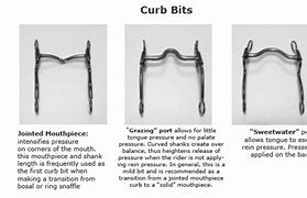 Image result for Curb Bit Kinds