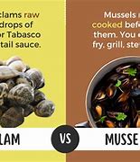 Image result for Clams vs Mussels