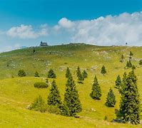 Image result for Crni Vrh Planina