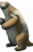 Image result for Sid the Sloth Real Life