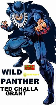 Image result for Black Panther Amalgam