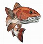 Image result for Red Fish Drawing