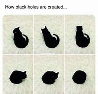 Image result for Short Black Cat Meme