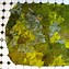 Image result for Stone Moss Bath Mat