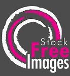 Image result for skny stock