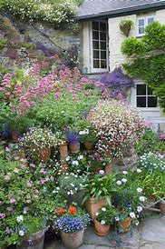Image result for Flower Pot Garden Design Ideas