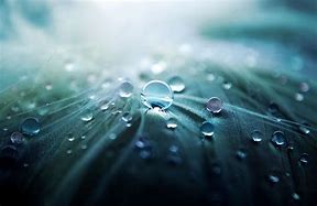 Image result for Nature Wallpaper Water Droplets