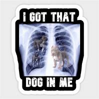 Image result for Dog in Me Meme X-ray