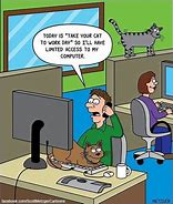 Image result for Cat at Work Meme