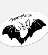 Image result for Bat Stiker