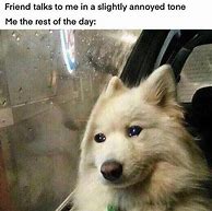 Image result for Dog Cry Meme