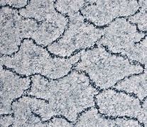 Image result for Dirty Carpet Texture