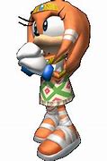 Image result for Tikal Ate Sonic