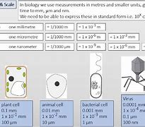 Image result for Biomolecule Size Scale
