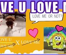 Image result for Funny Love Memes 2019