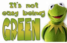 Image result for Kermit the Frog Not Easy Being Green
