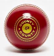 Image result for Cricket Crowd Background