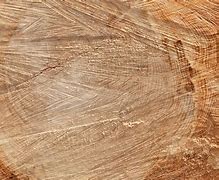 Image result for Chainsaw Cutting Wood