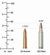 Image result for 17 Remington vs .223