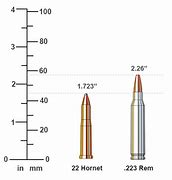 Image result for 22 vs 223 Ballistics