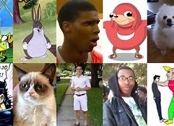 Image result for Top 50 Memes