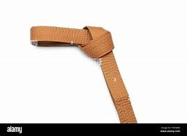 Image result for Brown Karate Belt