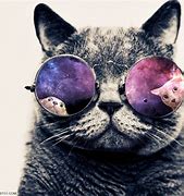 Image result for Space Cat with Glasses