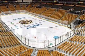 Image result for TD Garden Yellow Seats