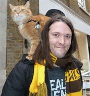 Image result for Torfaen Cats