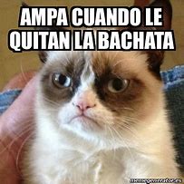 Image result for Quiten Bachata Meme