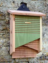 Image result for Bat Box Design